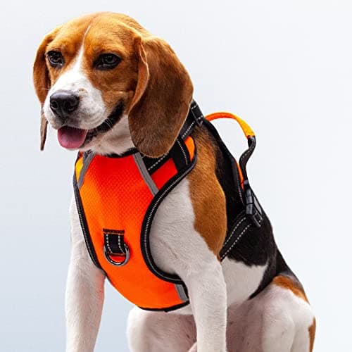 Puwihoe No Pull Dog Harness, Reflective Walking Dog Harness with Easy Control Handle and Front & Back Clips,Adjustable Breathable Soft Padded Dog Vest Harness for Large Medium Small Dogs,Orange,M - Image 1