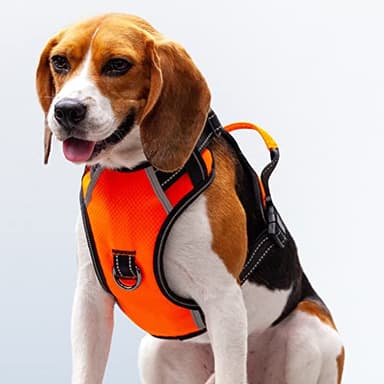 Puwihoe No Pull Dog Harness, Reflective Walking Dog Harness with Easy Control Handle and Front & Back Clips,Adjustable Breathable Soft Padded Dog Vest Harness for Large Medium Small Dogs,Orange,M - Image 1