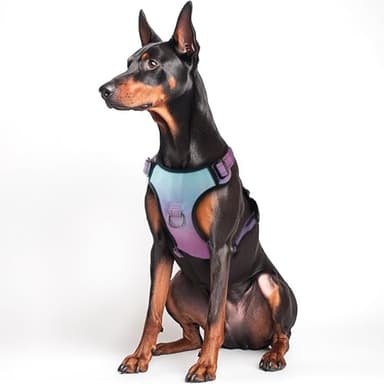QQPETS No Pull Dog Harness with 2 Leash Clips,Adjustable Soft Padded Dog Vest, Reflective Outdoor Pet Oxford Vest with Easy Control Handle for Small to Large Dogs Walking Training - Image 1