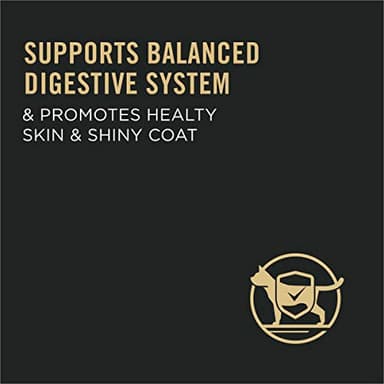 Purina Pro Plan With Probiotics, Sensitive Skin & Stomach, Natural Dry Cat Food, Turkey & Oat Meal Formula - 3.2 lb. Bag - Image 8