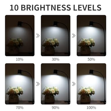 Dott Arts Desk Lamp,USB Clip On Light,Book Lights for Reading at Night,3 Color Modes,10 Brightness Clamp Lights,360° Gooseneck LED Reading Light for Books in Bed,Eye-Care for Home Office,Headboards - Image 3
