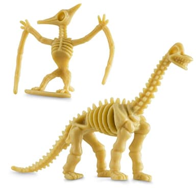 Bedwina Dinosaur Fossil Skeleton - (Pack of 24) 3.7 Inch Assorted Plastic Dino Figure Bones for Kids Science Dig Kit, Digging Sandbox Bins Play Toys, Party Favors, Birthday Decorations - Image 7