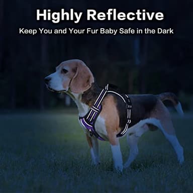 PoyPet No Pull Dog Harness, No Choke Front Clip Reflective Dog Vest with Soft Padded Vertical Handle, 3 Leash Attachments for Small Medium Large Dogs (Purple,XL) - Image 6