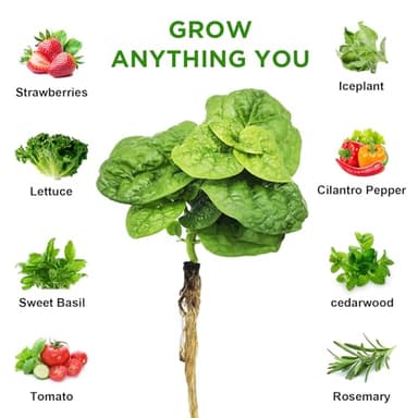 196Pcs Hydroponic Seed Pods Kit Supplies for Aerogarden Pods, Hydroponics Garden Accessories, Grow Anything Kit with 60 Grow Sponges 12 Grow Baskets 60 Domes 60 Pod Labels 400ml Plant Food Nutrients - Image 5