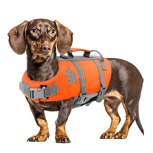 Queenmore Dog Life Jacket Medium, Dog Life Vest for Swimming, Dog Life Vest for Medium Dogs, Floating Dogdie Vests for Boating Kayaking, Pet Swim Preserver with Safety Handle Hook, Puppy Swim Vest - Image 1