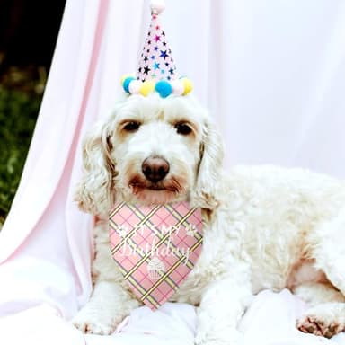 Dog Birthday Bandana Girl It's My Birthday Dog Bandana Birthday Girl Dog Bandana Plaid Pink Dog Bandana Funny Dog Bandana Birthday Photo Prop Pet Scarf Accessories for Pet Dog Lovers Gifts - Image 4