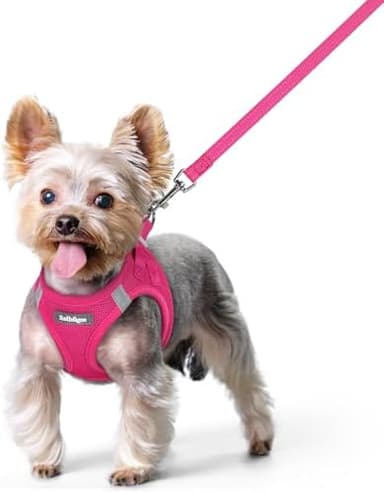 rabbitgoo Dog Harness Small Sized and Leash Set, Step in Soft Light Puppy Vest, Breathable Mesh Pet Harness, Reflective for Safe Easy Walking, Rose Red XS - Image 3