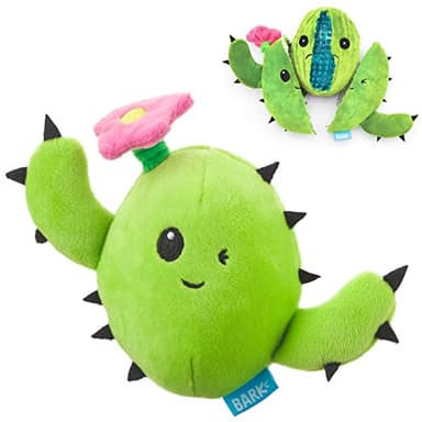 Barkbox 2 in 1 Interactive Plush Dog Toy - Rip and Reveal Toy for Dogs and Puppies - Stimulating Squeaky Pet Toys | Consuela Cactus (Small) - Image 1