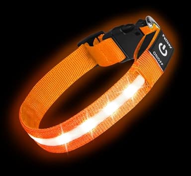 Super Bright LED Dog Collar - Fully Waterproof & Adjustable Glow Collar - USB-C Rechargeable for Night Walking, Safety - Flashing Lighted Collar for Dogs(Orange,L) - Image 1
