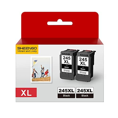 245XL Ink Cartridge Replacement for Canon 245XL Black Ink PG-245XL 245 XL PG-243 243XL for Pixma TR4520 TR4527 MX492 MX490 MG2522 MG2525 MG2920 TS202 TS302 TS3320 TS3322 MG2420 IP2820 (2 Black) - Image 1