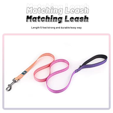 Roses&Poetry Reflective Small Dog Collar and Leash Set, Puppy Personalized Boy and Girl Collar with Leash, Adjustable Nylon Durable Pet Matching Collars Leashes for Small Puppies(Mistyrose-S - Image 2