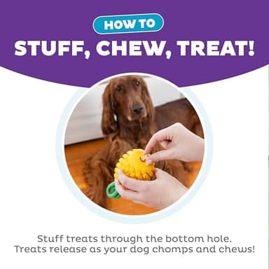 Outward Hound by Planet Dog Dental Pineapple Dental Chew Toy and Interactive Treat Stuffer Durable Dog Toy Stuffable Dog Toy, Yellow - Image 4