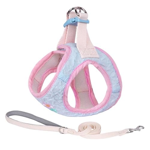 AIITLE Breathable Dog Vest Harness and Leash Set - Step in Adjustable Dog Harness with Magic Tape Design and Quick-Release Buckle - Outdoor Walking, Training for Medium Dogs Blue L - Image 1
