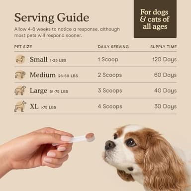 Fera Pets Mushroom Supplement for Dogs & Cats with Turkey Tail - USDA Organic - Cognitive and Immune Support - Enhances Liver Function - Supports a Healthy Gut - Powder - 120 Scoops - Image 5