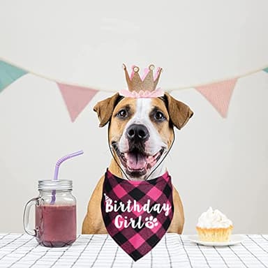 JOTFA Plaid Dog Bandana for Birthday Party Supplies (Pink) - Image 5