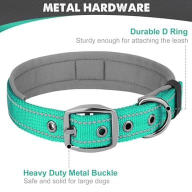 Joytale Dog Collar for Small Dogs, Neoprene Padded and Adjustable, Reflective Wide Heavy Duty Pet Collars with Durable Metal Belt Buckle for Walking, Teal, S - Image 5
