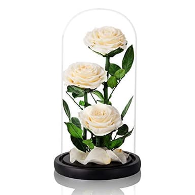 White Roses Handmade Preserved Rose in Glass Dome, Preserved Flowers Never Withered, Birthday Gifts for Women (13 inch) - Image 2