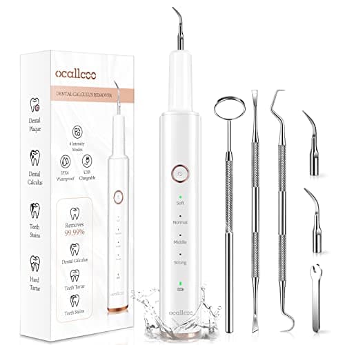 Plaque Remover for Teeth, Electric Tooth Cleaner Tartar Remover for Teeth with LED Light,4 Modes Rechargeable Teeth Cleaning Kit with Dental Tools, 2 Replaceable Heads (White A) - Image 1