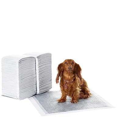 Amazon Basics Carbon Odor-Control Dog and Puppy Pee Pads, 5-Layer Leak-Proof Super Absorbent, Quick-Dry Surface, Potty Training, Regular (22x22"), 120 Count, Gray - Image 1