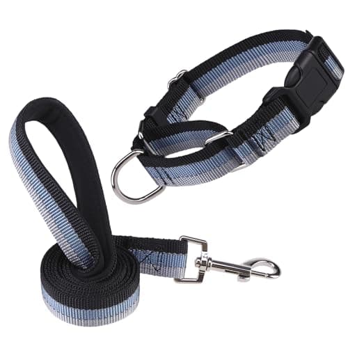 ESGPET Martingale Dog Collar and Leash Set for Walking, Playing, Training, Reflective Adjustable Puppy Collars with Leash for Small Medium Large Dogs (Black,Small) - Image 1