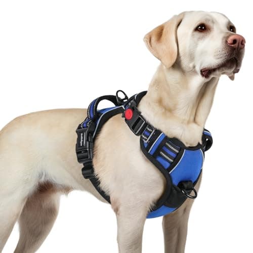 rabbitgoo Dog Harness for Large, No Pull Pet Harness with 3 Buckles, Adjustable Soft Padded Vest with Control Handle, Walking Reflective Pet Vest for Large Dogs, Blue, L - Image 1