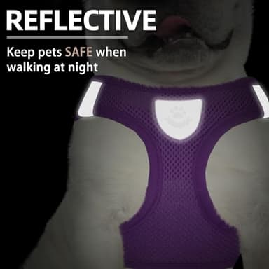 PUPTECK Adjustable Dog Harness Collar and Leash Set Step in No Pull Pet Harness for Small Medium Dogs Puppy and Cats Outdoor Walking Running, Soft Mesh Padded Reflective Vest Harnesses - Image 5
