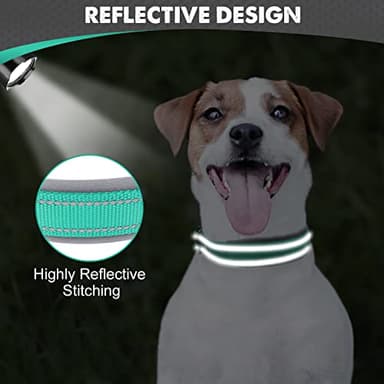 Joytale Dog Collar for Small Dogs, Neoprene Padded and Adjustable, Reflective Wide Heavy Duty Pet Collars with Durable Metal Belt Buckle for Walking, Teal, S - Image 4