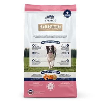 Natural Balance Health Protection Dry Dog Food – Whole Body Health, Easy on Digestion Dog Food Made with Salmon, Brown Rice & Pumpkin for Dogs - 4lbs. - Image 2