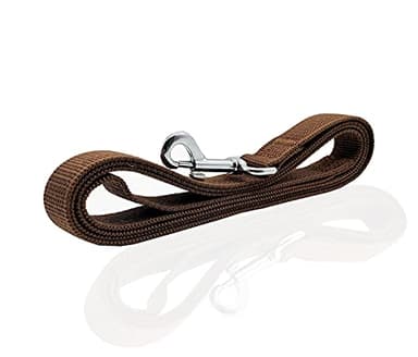 Nylon Dog Leash 10 Feet Long, Walking Training Dog Leashes for Medium Large Dogs, 1 Inch Wide (Brown) - Image 3