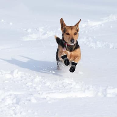 AWUXINE Dog Boots Dog Snow Boots for Winter, Dog Winter Boots Dogs with Anti-Slip Sole and Plush,Boots & Paw Protecto with Reflective Straps for Small Medium Dogs 4PCS - Image 5