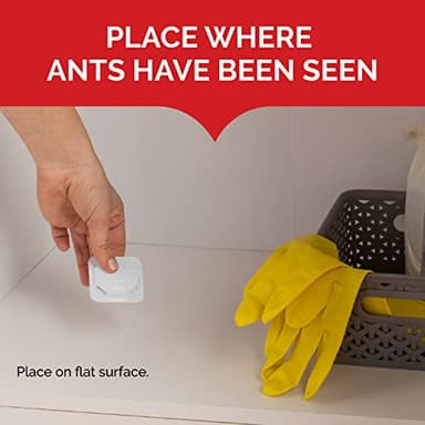 Hot Shot Ant Bait, Kills the Queen and Colony, Works for 6 months, Pack of 1, 8 Count - Image 5