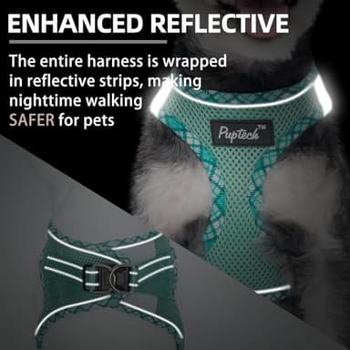 PUPTECK Dog Harness and Leash Set for Small Medium Dogs No Pull Step-in Soft Mesh Puppy Cat Vest Harnesses Reflective at Night, Upgraded New Green XS - Image 4