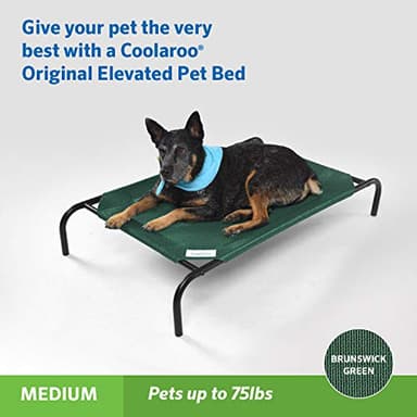 Coolaroo The Original Cooling Elevated Pet Bed, Medium, Brunswick Green - Image 2