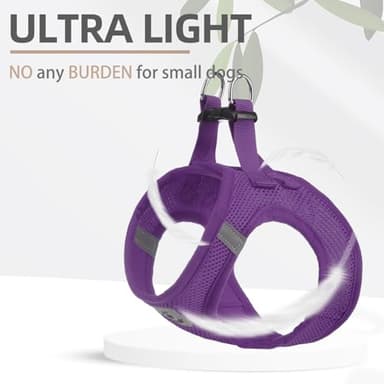 PUPTECK Adjustable Dog Harness Collar and Leash Set Step in No Pull Pet Harness for Small Medium Dogs Puppy and Cats Outdoor Walking Running, Soft Mesh Padded Reflective Vest Harnesses - Image 6