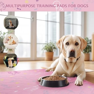 IEUUMLER Washable Pee Pads for Dogs, 2 Pack Non-Slip & Waterproof Pack Whelping Pad, Reusable Washable Puppy Potty Training Pad with Fast Absorbent for Playpen EU007 (Pink Dinosaur, 48"X30"-2pcs) - Image 6