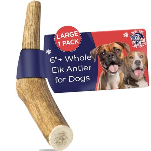 Devil Dog Pet Co. Elk Antlers for Dogs, Large 6"+, 1 Pack, Grade A Long Lasting Chew for Aggressive Chewers, Premium USA Naturally Shed Antler – Healthy, No Odor, Durable Dog Chew - Image 1