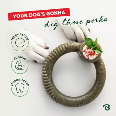 Benebone Peppermint Ring – Limited Edition Holiday Flavor, Durable Chew Toy for Aggressive Chewers, Made in USA, Medium - Image 5