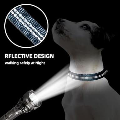 Aiminto Adjustable Nylon Reflective Martingale Dog Collar for Training and Walking (Blue, L (Neck: 19"-28", Width: 1")) - Image 2