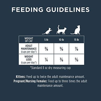 Instinct Raw Boost Indoor Health, Natural Dry Cat Food with Freeze Dried Pieces, Grain Free Recipe - Real Rabbit, 4.5 lb. Bag - Image 10