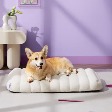 Lesure Cute Orthopedic Dog Bed for Crate, Large Waterproof Chic Flat Pet Beds with Removable Washable Cover, Fuzzy Thick Egg Crate Foam Pet Mat for Indoor Dogs (35" x 22", Cream) - Image 2