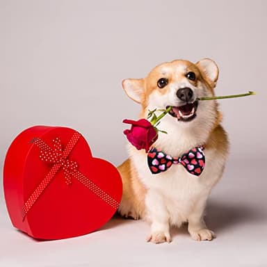 2 Pack Valentine Kitty Kitten Collar with Bow Tie, Holiday Heart Collar with Bell for Boys and Girls Male Female Cats (Pattern 1) - Image 6