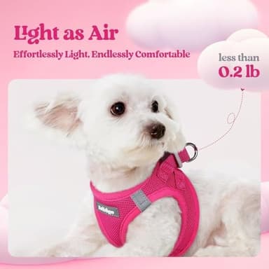 rabbitgoo Dog Harness Small Sized and Leash Set, Step in Soft Light Puppy Vest, Breathable Mesh Pet Harness, Reflective for Safe Easy Walking, Rose Red XS - Image 4