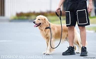 iYoShop Durable Slip Lead Dog Leash with Padded Handle and Highly Reflective Threads, No Pull Dog Training Leash, (1/2" x 6 FT, Black) - Image 6