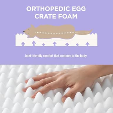 Lesure Cute Orthopedic Dog Bed for Crate, Large Waterproof Chic Flat Pet Beds with Removable Washable Cover, Fuzzy Thick Egg Crate Foam Pet Mat for Indoor Dogs (35" x 22", Cream) - Image 5
