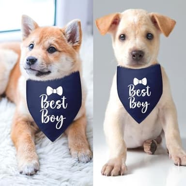 Best Boy Dog Bandanas Wedding Dog Bandana Pet Puppy Bandanas Boy Navy Dog Bandana Engagement Gift Funny Dog Bandana Wedding Photo Prop Pet Scarf Accessories for Pet Dog Lovers Gifts - Image 3