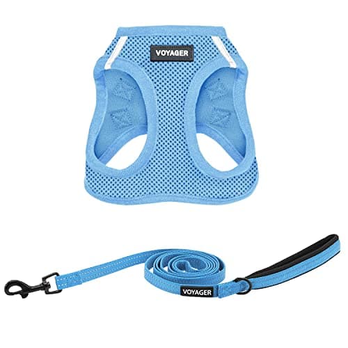 Voyager Step-in Air All Weather Mesh Harness and Reflective Dog 5 ft Leash Combo with Neoprene Handle, for Small, Medium and Large Breed Puppies by Best Pet Supplies - Set (Baby Blue), M - Image 1