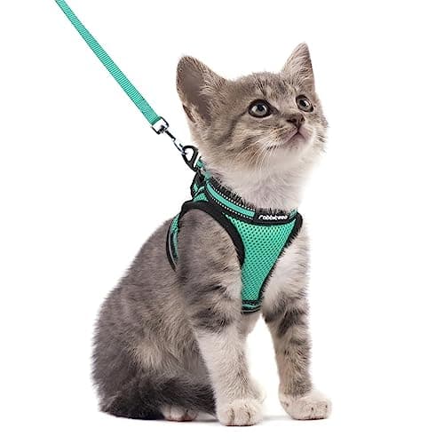 rabbitgoo Cat Harness and Leash Set for Walking Escape Proof, Adjustable Soft Kittens Vest with Reflective Strip for Cats, Comfortable Outdoor Vest,Green,S - Image 1