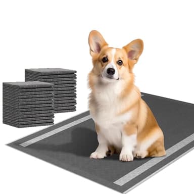 Camonti Dog and Puppy Pee Pads 100 Count, 23'' x 30'' Charcoal Odor-Control Puppy Pads with Leak-Proof Quick-Dry Design, Pet Training Pads for Potty Training Strong Absorbency - Image 1