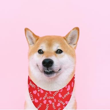 MIANOOMAG Holiday Dog Bandanas 2 Pack, Triangle Reversible Valentine Pet Scarf for Boys and Girls, Love kiss Print, Bandana for Medium and Large Dogs (Small) - Image 3