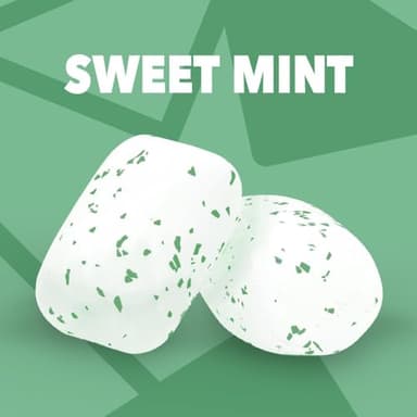 ORBIT Sweet Mint Gum, Chewing Gum Sugar-Free, 6 Packs, Bulk Pack - Image 4